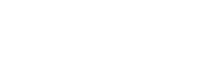 CyberSec Institute